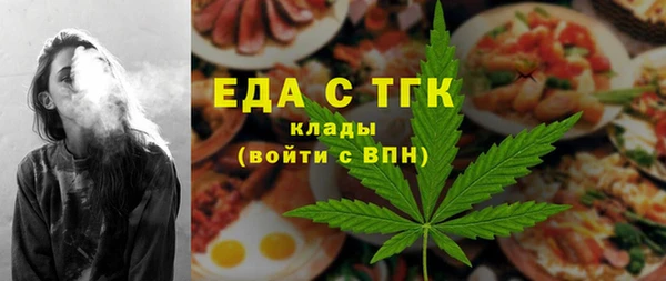 mix Инта
