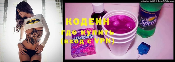 mix Инта