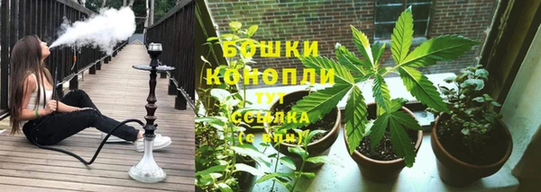 тгк Иннополис