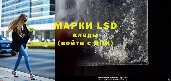 mix Инта