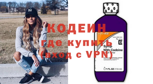 mix Инта