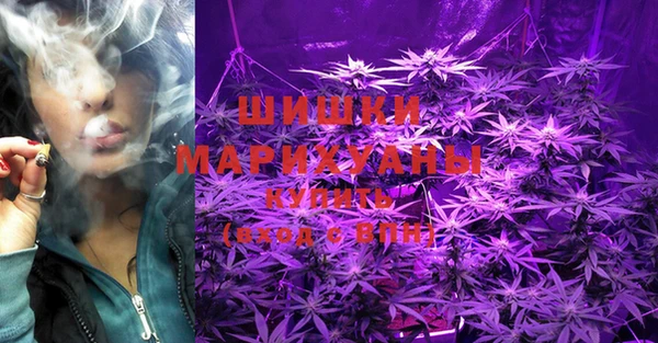 тгк Иннополис