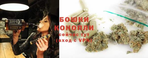mix Инта